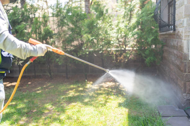 Best Pest Removal Services  in Orland Park, IL