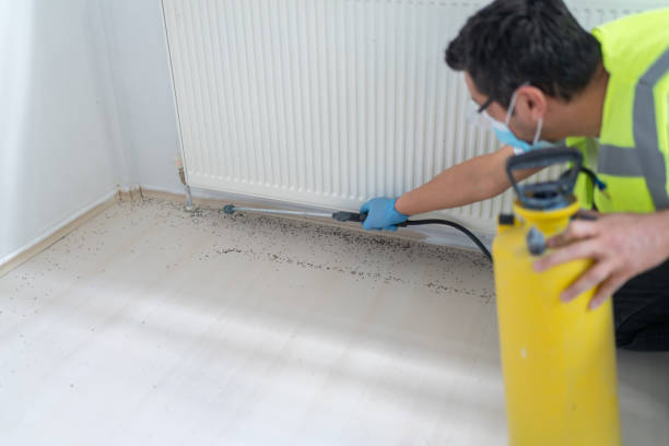 Best Bed Bug Extermination  in Orland Park, IL