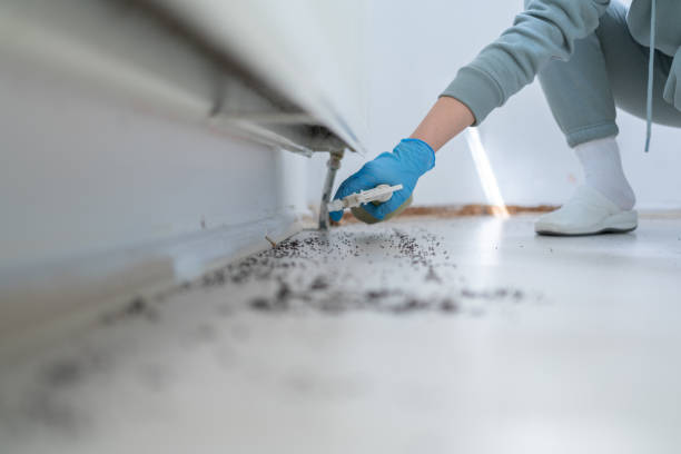 Best Residential Pest Control  in Orland Park, IL